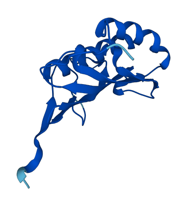 RIDA 3D structure