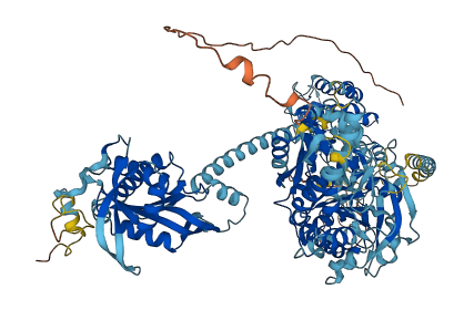 Gucy2e 3D structure