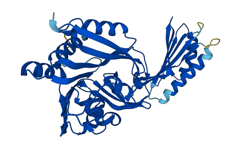 SMS 3D structure