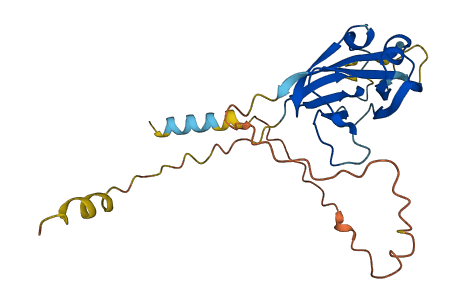 EFNA3 3D structure