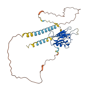 EFNB2 3D structure