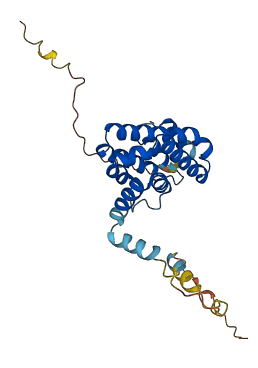 STC1 3D structure