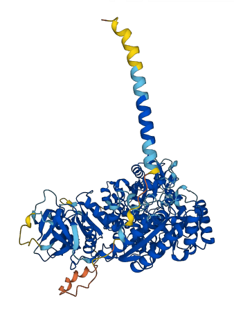 NDST2 3D structure