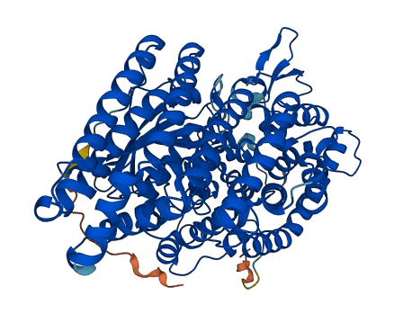 THOP1 3D structure