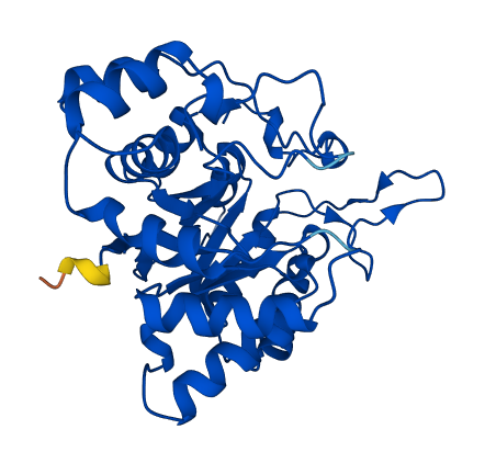 AKR1C2 3D structure