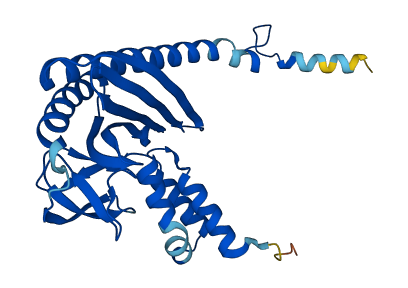 CAPZA1 3D structure
