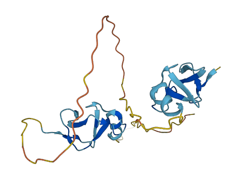 CRIP2 3D structure