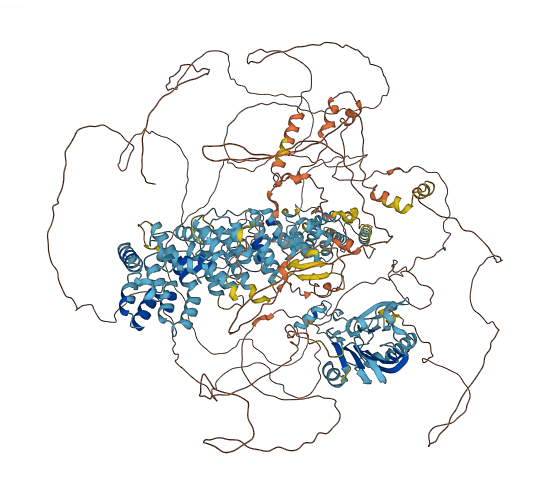 NUP98 3D structure