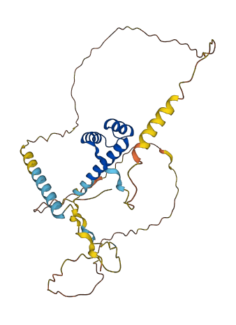 NKX2-5 3D structure