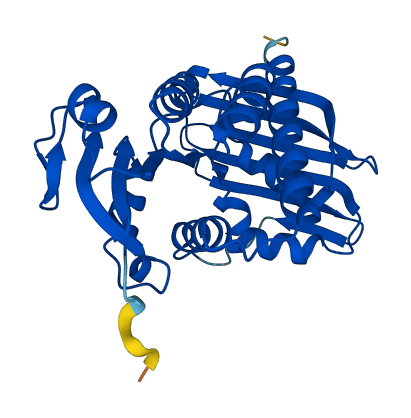 BLVRA 3D structure
