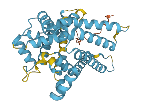 SLC25A1 3D structure