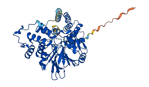 PPP5C 3D structure