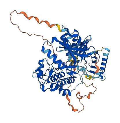 PLK1 3D structure