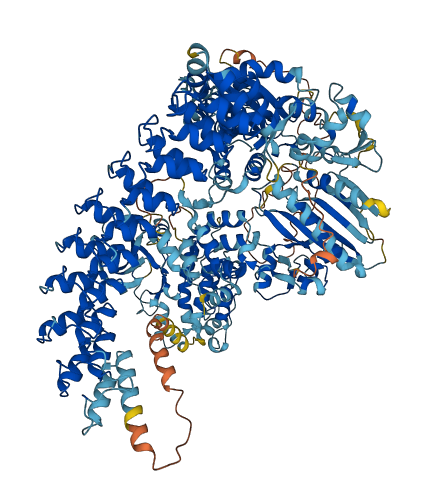 DAPK1 3D structure