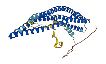 ARFIP2 3D structure