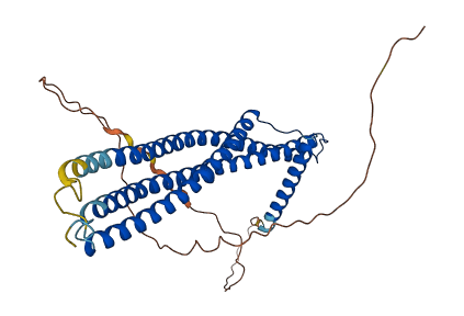 ARFIP1 3D structure