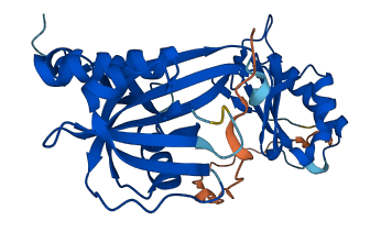NUDT6 3D structure