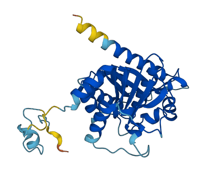 NUBP1 3D structure