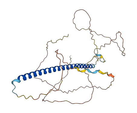 FOSB 3D structure