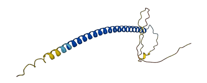 CEBPG 3D structure