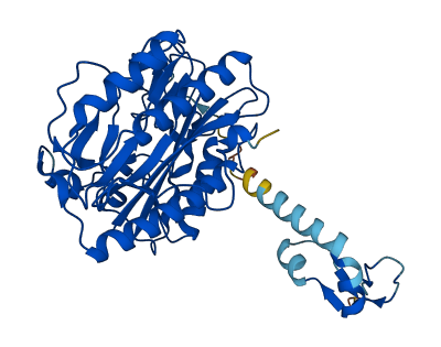 METAP1 3D structure