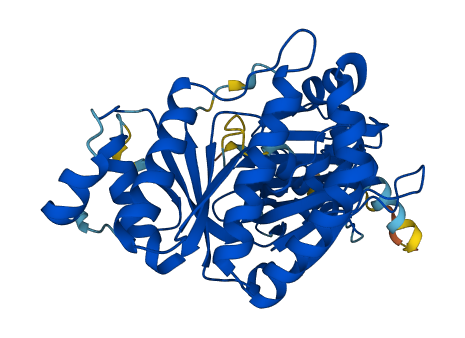 MVD 3D structure