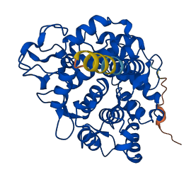 PGGT1B 3D structure