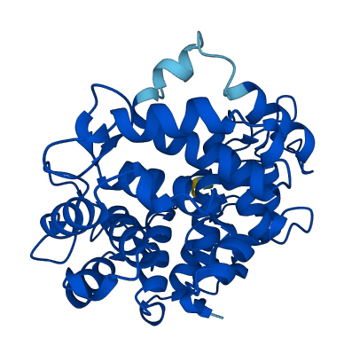 RABGGTB 3D structure