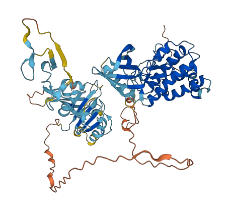 LIMK1 3D structure