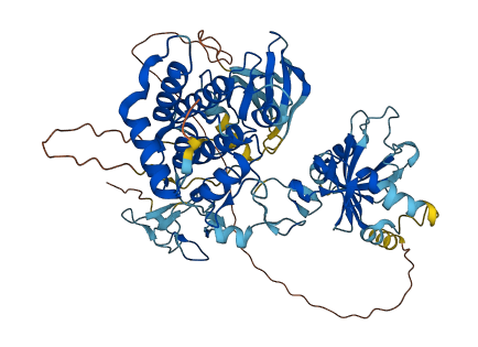 LIMK2 3D structure