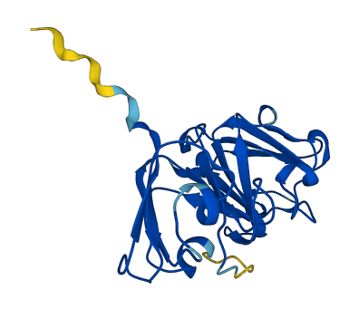 CRYBA2 3D structure