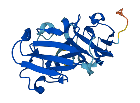 CRYBA4 3D structure