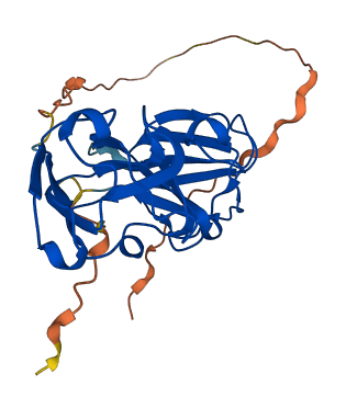 CRYBB1 3D structure