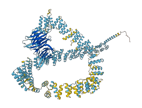 CLTCL1 3D structure