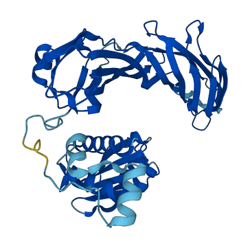 AP3M2 3D structure