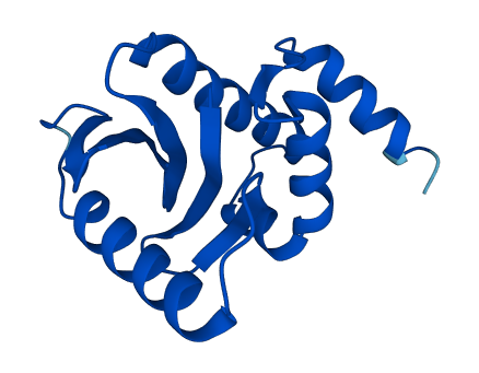 AP2S1 3D structure