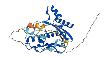 HCCS 3D structure