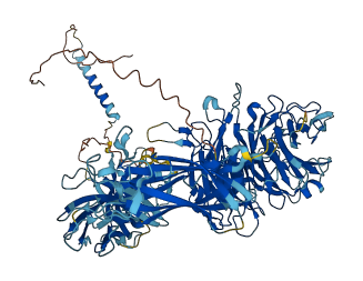ITGA8 3D structure