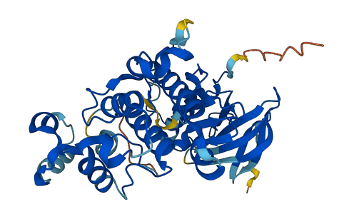 MAPK12 3D structure