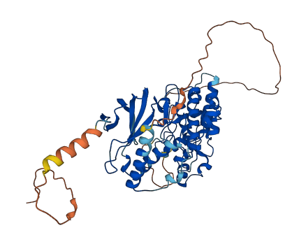 MAPK10 3D structure
