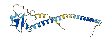 PTTG1IP 3D structure