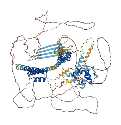 SMTN 3D structure