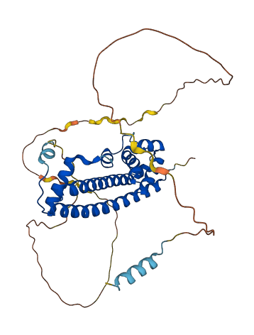 IST1 3D structure