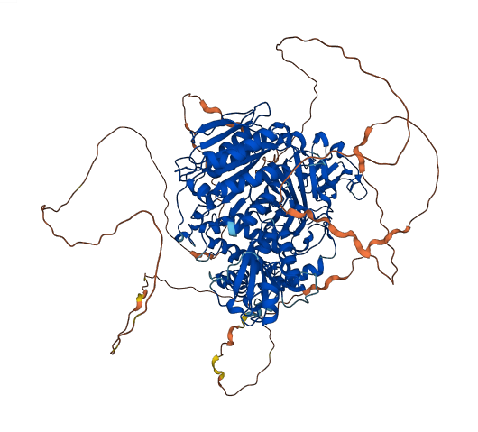 SEC24C 3D structure