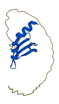 SUB1 3D structure