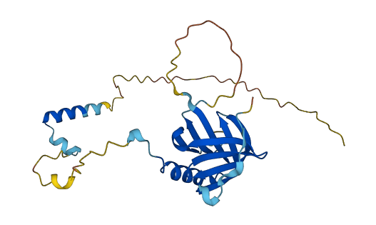 CLNS1A 3D structure