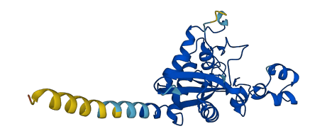 CRISP1 3D structure