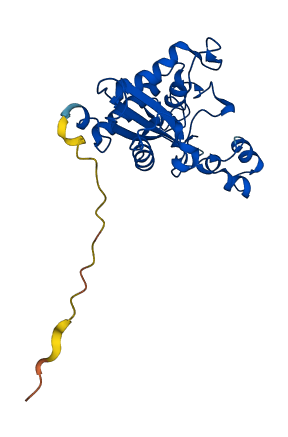 CRISP3 3D structure