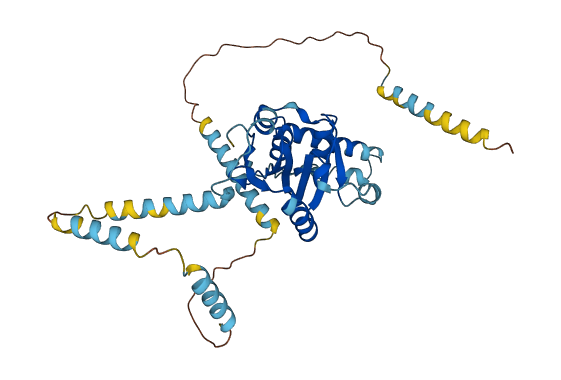 ATXN3 3D structure