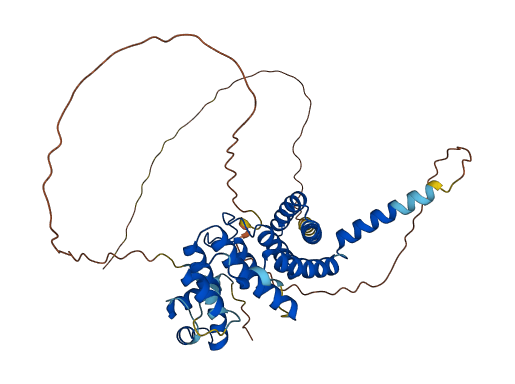 TERF1 3D structure